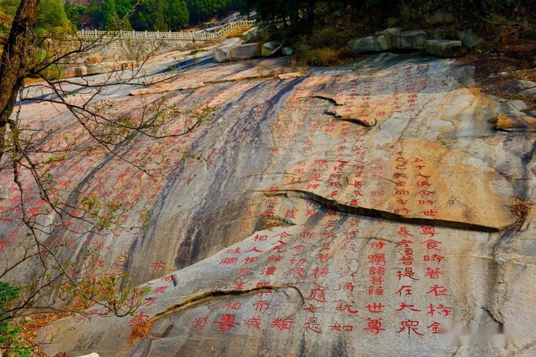 深入探索如何才能彻底删除百度快照呢。,尽享知识星球平台的魅力!